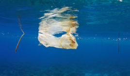 Ocean śmieci Biuro podróży Goforworld by Kuźniar