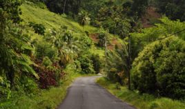 Żyć nie umierać na Dominice Biuro podróży Goforworld by Kuźniar