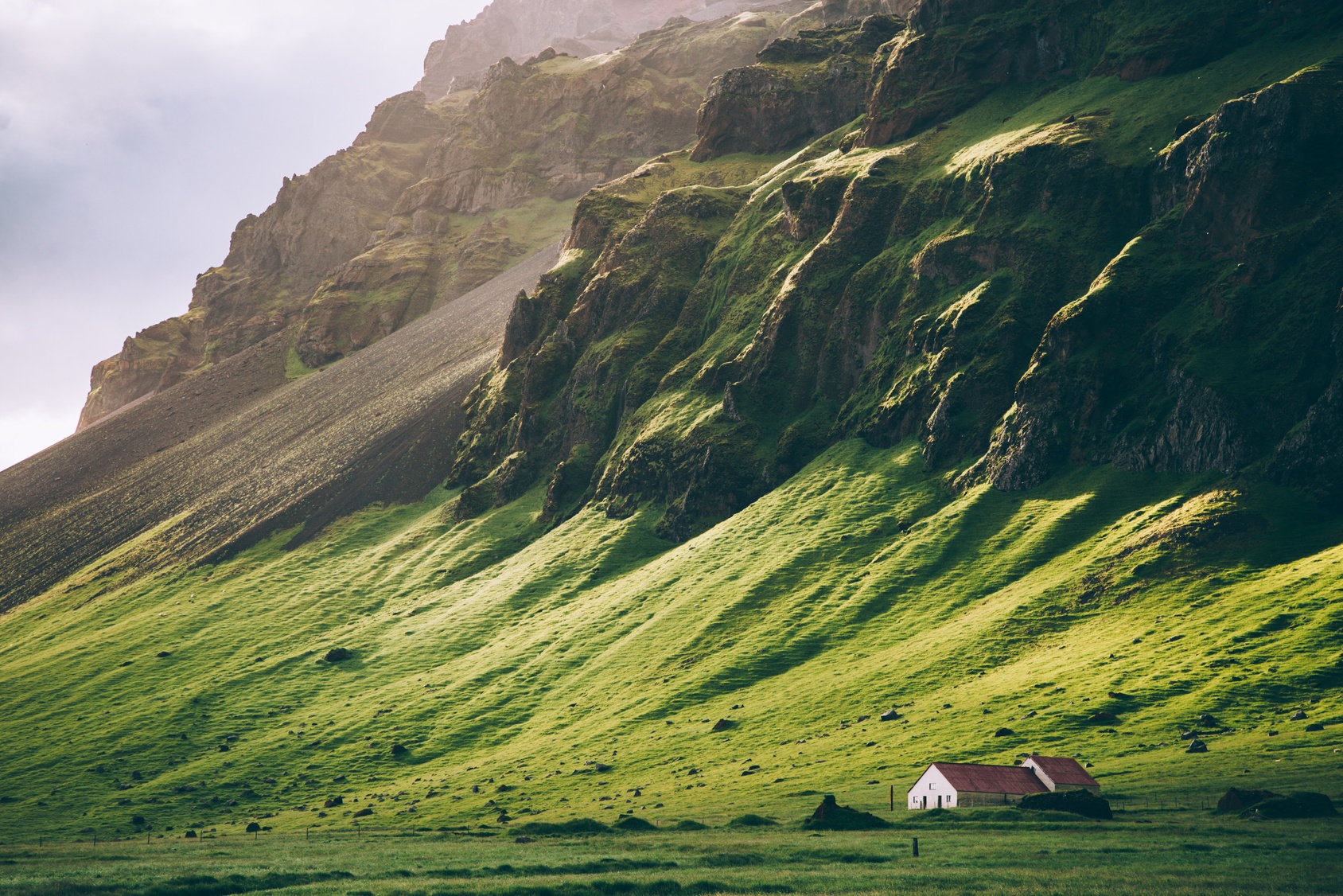 Islandia potrzebuje lasów Biuro podróży Goforworld by Kuźniar