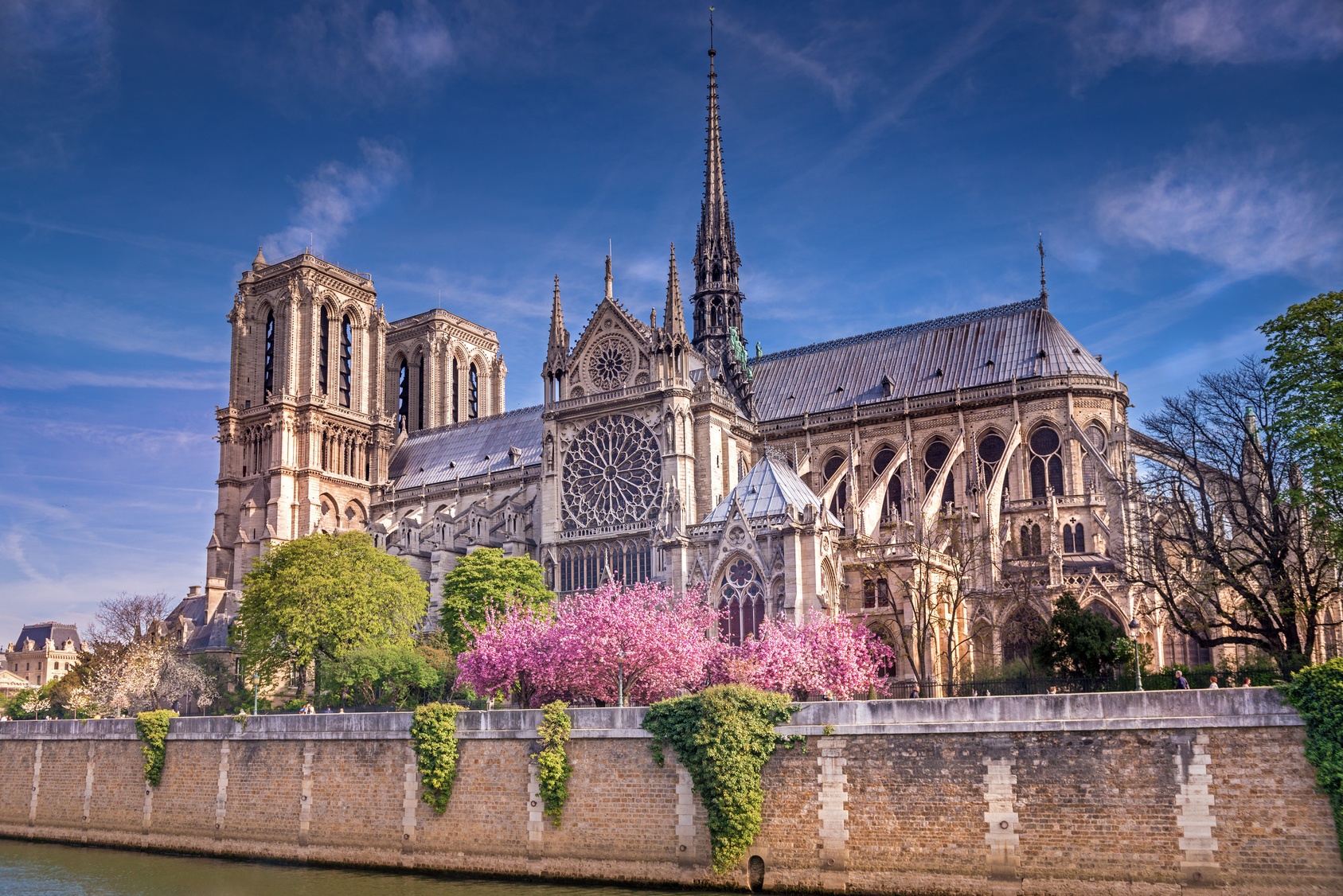 Notre Dame | Ogień ugaszony Biuro podróży Goforworld by Kuźniar