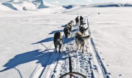 Spitsbergen na pożegnanie | GALERIA Biuro podróży Goforworld by Kuźniar