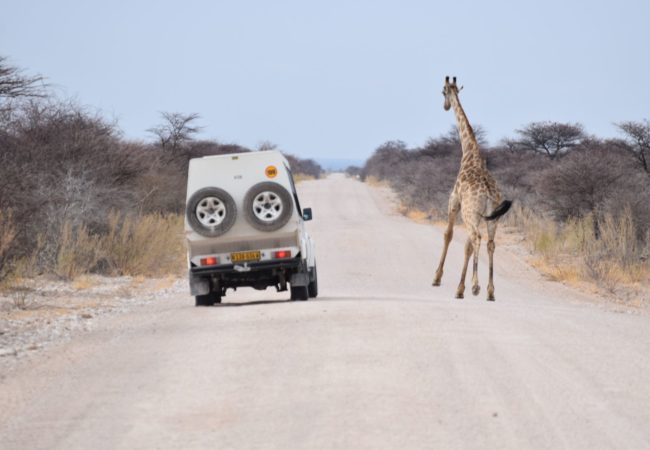 Czego nie wiesz o Namibii? Biuro podróży Goforworld by Kuźniar