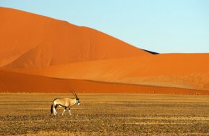 Namibia w kadrze Biuro podróży Goforworld by Kuźniar