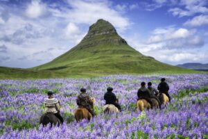 Islandia: 5 miejsc, które warto zobaczyć! Biuro podróży Goforworld by Kuźniar