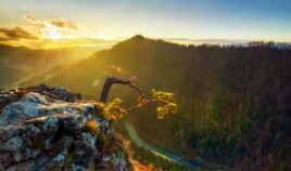 5 najbardziej lubianych parków narodowych w PL Biuro podróży Goforworld by Kuźniar
