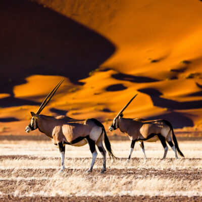 Namibia 🇳🇦 Biuro podróży Goforworld by Kuźniar