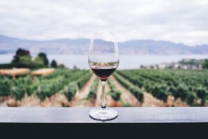 6 miejsc w Europie dla miłośników wina Biuro podróży Goforworld by Kuźniar